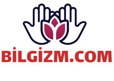 Bilgizm.com